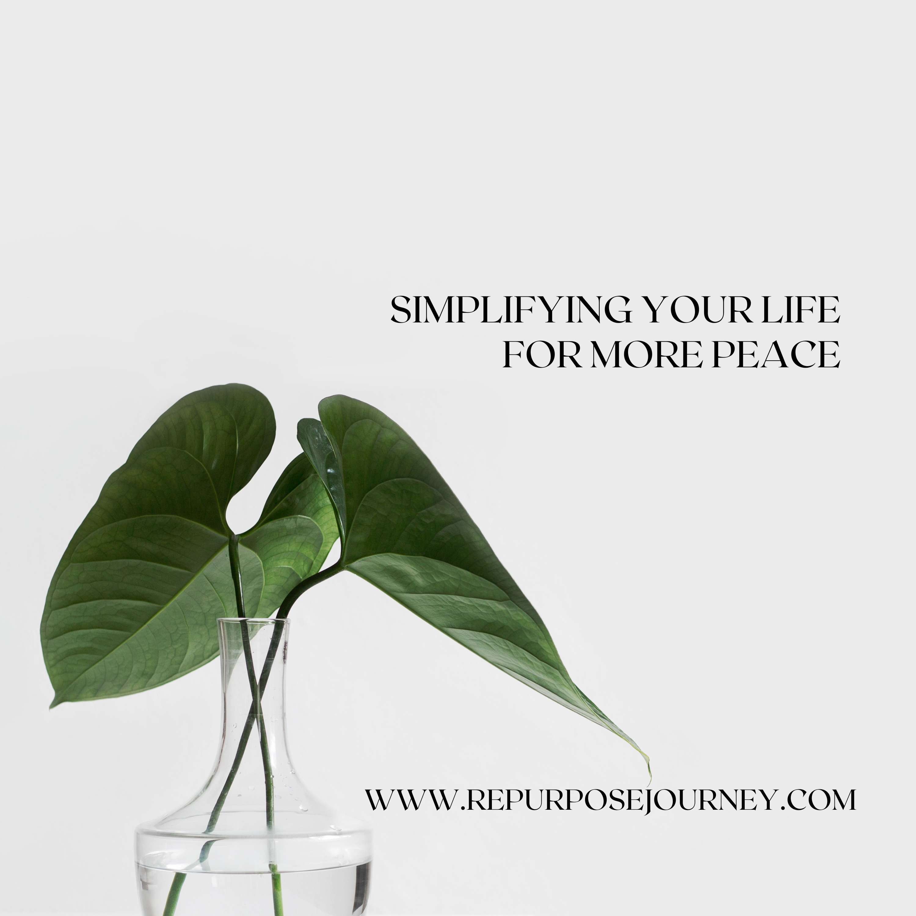 You are currently viewing Simplifying Your Life for Peace 